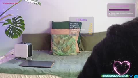 Kitty online show from June 29, 8:00 am