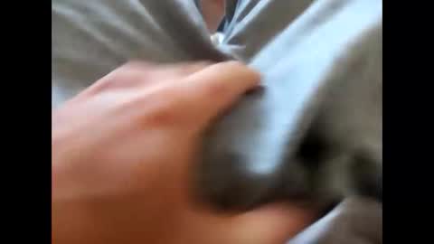 deliv_shopi online show from November 26, 2:03 pm