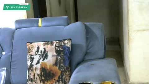 Ginger online show from June 27, 6:03 pm