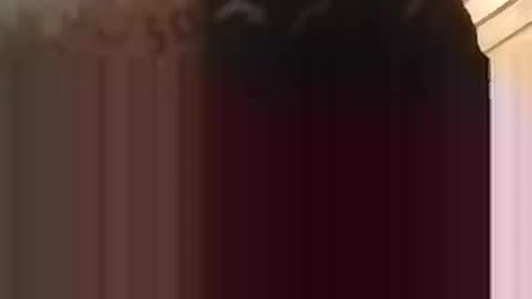 Demetriemanon online show from December 17, 8:21 am