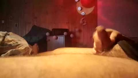 den2807 online show from February 11, 11:14 am