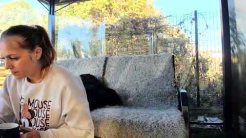 Anna online show from October 28, 9:54 am