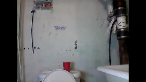 Marcus D-von Steel as the raunchy ass sniffer thrill me with your online show from October 11, 9:18 pm