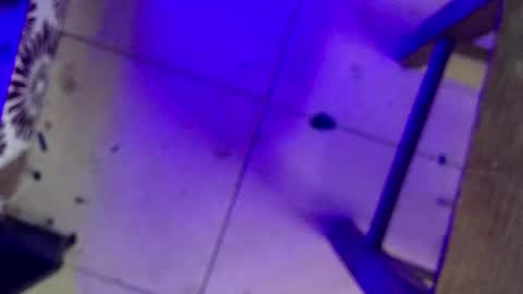 dickink13 online show from November 25, 4:17 pm