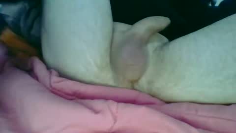 didai online show from March 22, 12:14 am