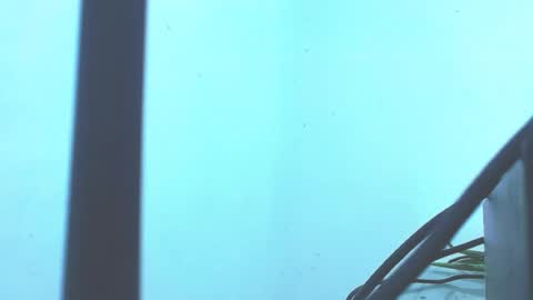 dirty_culona online show from July 22, 6:21 pm