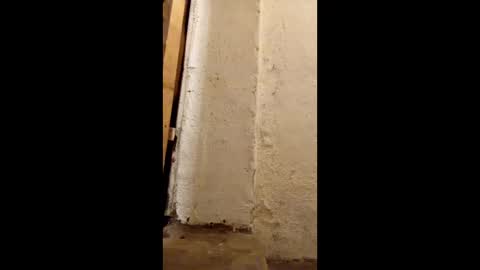 dirtytravbitch online show from May 6, 2:17 am