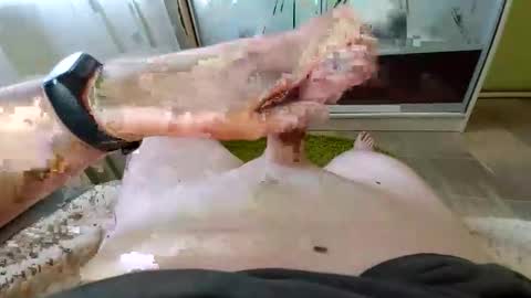 dirtyyy_thoughts online show from November 26, 12:02 pm