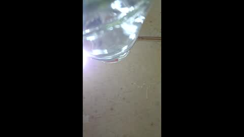 dispuestoatod online show from January 10, 12:27 am