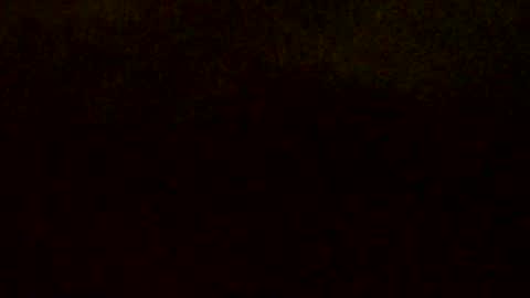 Doby online show from August 1, 1:07 am