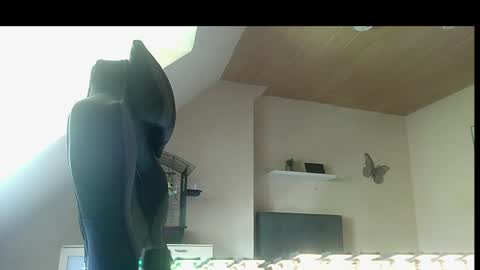 doggy2629 online show from June 29, 12:05 pm