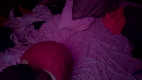 Pretty much willl do everything for the right thingp online show from January 7, 3:55 am