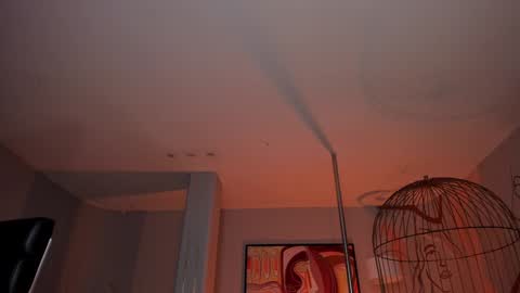 Dominique online show from January 30, 8:42 pm