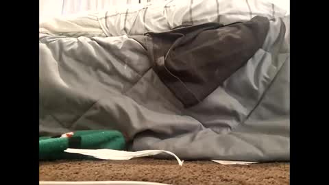 donkey99999 online show from February 23, 2:19 pm