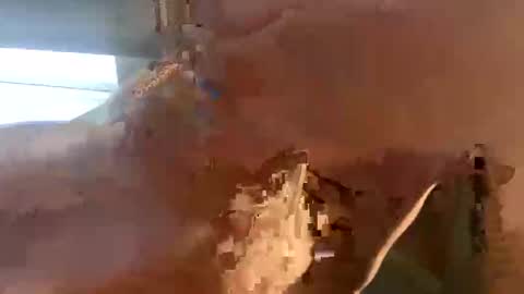 doug_funnie online show from April 6, 7:26 pm