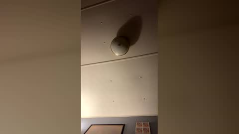 dpickle699 online show from December 14, 1:39 pm