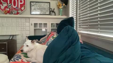 RIRI OR DREAMY online show from February 18, 12:21 am