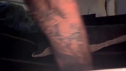 drippinggenie online show from January 3, 11:25 am