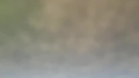 StraightStroker online show from December 21, 6:55 pm