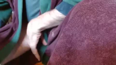 dunany101 online show from March 4, 5:03 pm