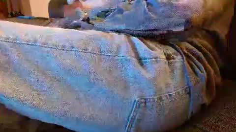 dunany101 online show from November 8, 2:14 am