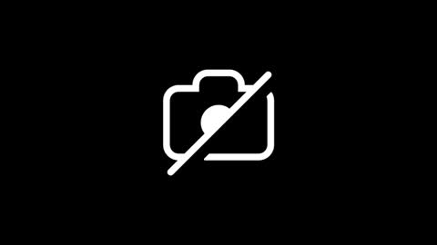 dylp400 online show from January 12, 8:21 am