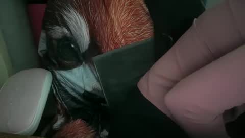 americnbarbie online show from November 4, 2:35 am