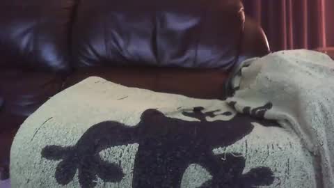 Snapshot of ectopicstarfish chatting on December 13, 8:41 am Ectopicstarfish online show from December 13, 8:41 am