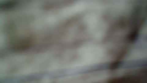 eddfox001 online show from June 14, 4:47 am