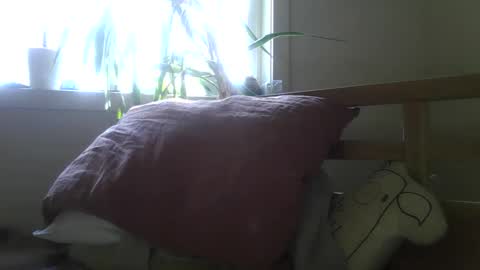 Snapshot of elephantfox chatting on January 20, 9:11 pm fox online show from January 20, 9:11 pm