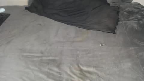 elgsslt online show from November 13, 12:30 pm