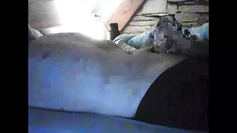 elky86 online show from November 16, 6:59 am