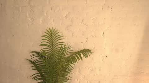 Snapshot of elliefrost chatting on March 11, 12:22 am elliefrost online show from March 11, 12:22 am