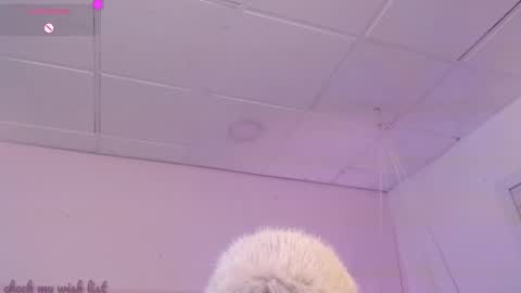 Danna online show from December 20, 6:20 am