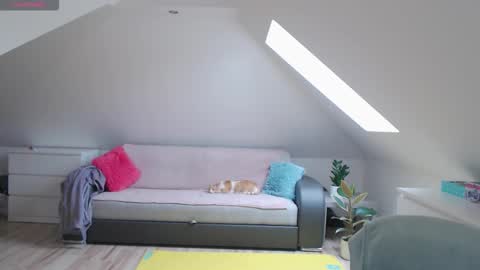 just me online show from February 1, 10:12 am