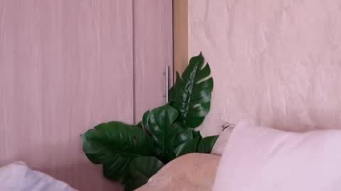    online show from February 14, 1:58 pm