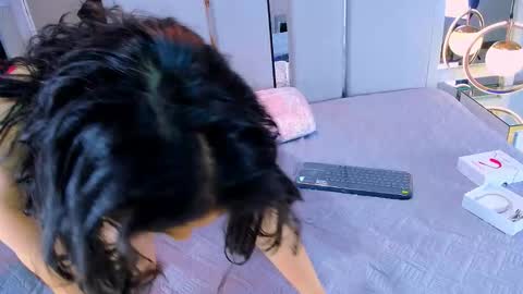     online show from November 29, 2:03 pm