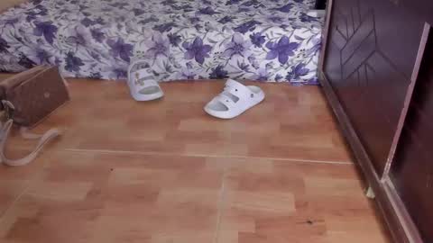 whises lits        online show from October 23, 2:18 pm