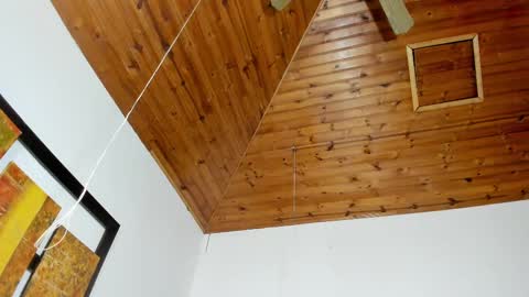 Emmily online show from November 16, 7:43 am