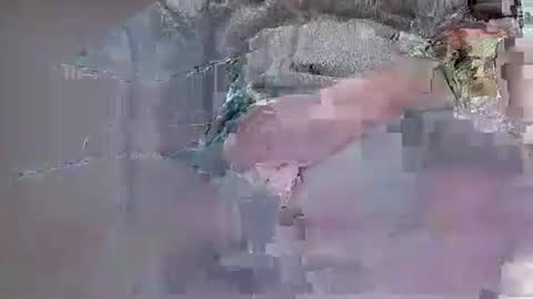 Snapshot of ensolo56 chatting on November 1, 9:08 am ensolo56 online show from November 1, 9:08 am