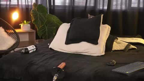 Eros Wild online show from November 29, 3:30 pm