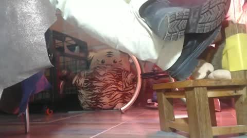 Eskela911 online show from February 26, 4:05 am