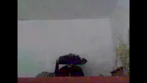 especially871850 online show from March 19, 11:15 am