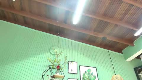 eva_love49 online show from March 10, 6:34 pm