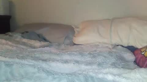 evangeline69xxx online show from February 20, 6:26 am