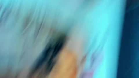 evecathalina1 online show from November 7, 3:09 am