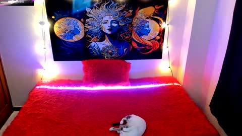 Snapshot of evie99_ chatting on October 1, 3:55 pm Evie99 online show from October 1, 3:55 pm