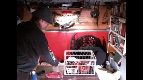 EvPierce online show from March 30, 4:23 am