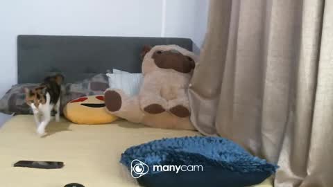 Evy conor online show from March 6, 9:36 am