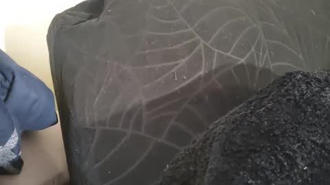 Exoticlexxii online show from September 17, 2:53 pm